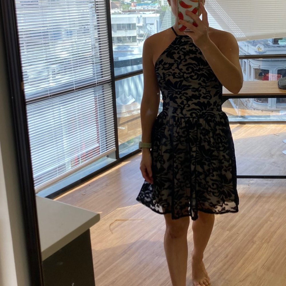 Tobi Lace Dress